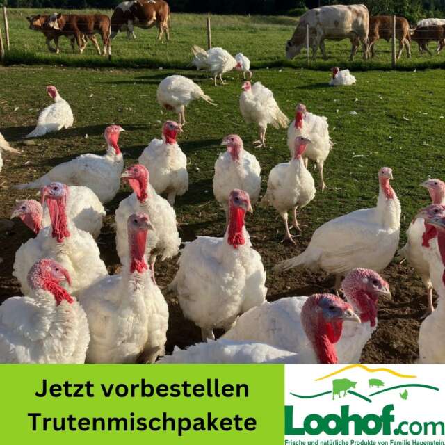 🦃 Trutenmischpakete – jetzt vorbestellen! 🦃
Unsere beliebten Trutenmischpakete sind wieder erhältlich! 💚
Feines Trutenfleisch direkt vom Loohof – regional, nachhaltig und mit viel Sorgfalt verarbeitet.
📦 Erhältlich an folgenden Daten:
• 1. – 4. Juli
• 8. – 11. Juli
• 15. – 18. Juli
Das Mischpaket enthält eine abwechslungsreiche Auswahl verschiedener Trutenspezialitäten und eignet sich perfekt zum Grillieren, Braten oder Einfrieren. 🍽️
👉 Am besten gleich vorbestellen, solange Vorrat!
❓Was ist euer Lieblingsgericht mit Trutenfleisch?
#Loohof #Trutenmischpaket #RegionalGeniessen #DirektvomHof #Trutenfleisch #SchweizerLandwirtschaft #Saisonal #Vorbestellen #QualitätAusDerRegion #LoohofGenuss